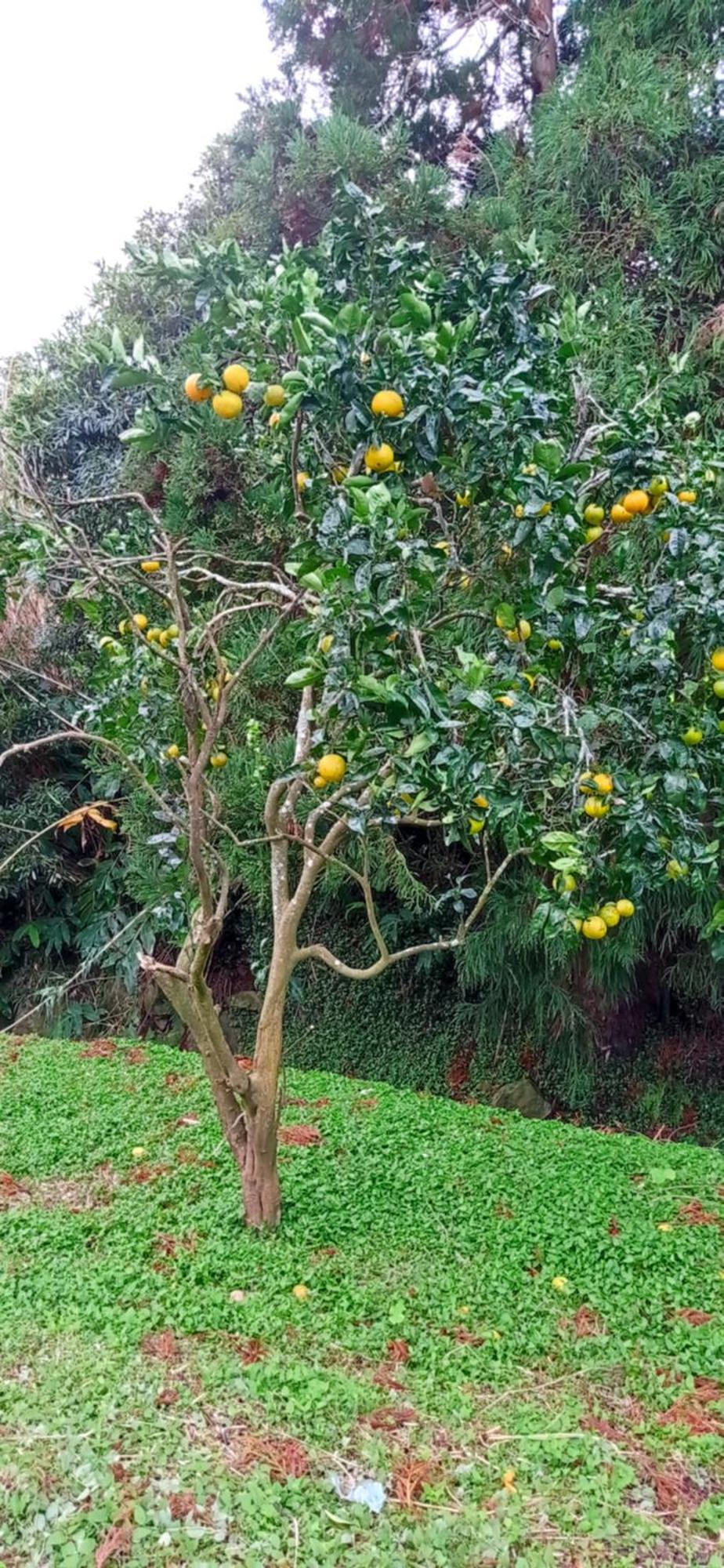 Villa Visconde Nordeste  Værelse billede